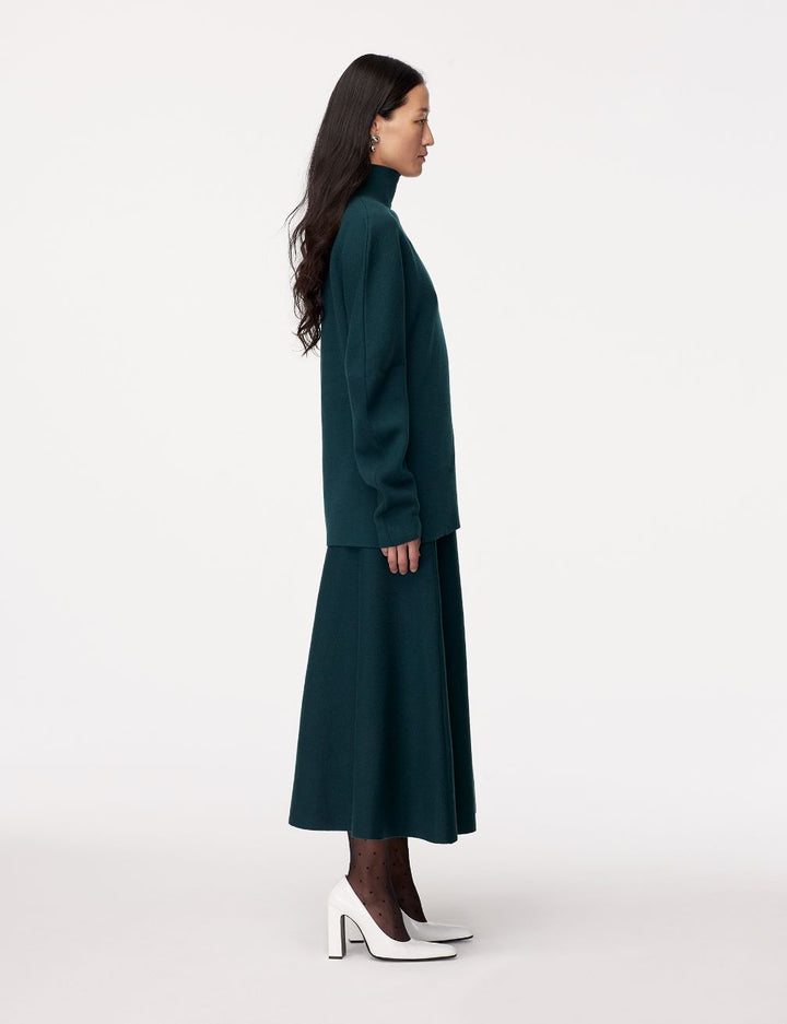 Merino Wool Knit Turtleneck