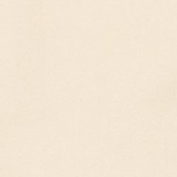 ASE PLUS - STRAIGHT JEANS | ECRU