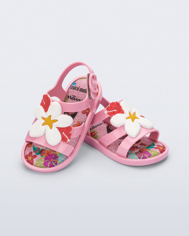 Colorland Moana