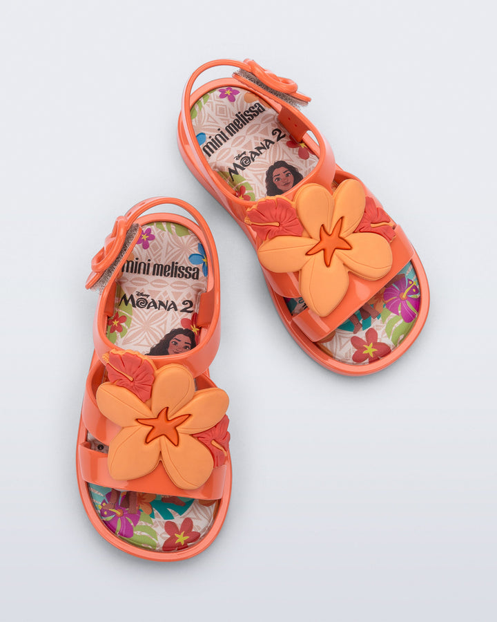 Colorland Moana