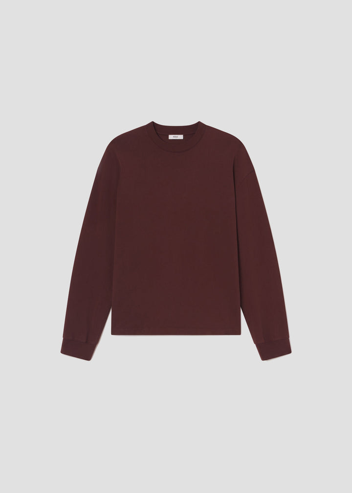 Asha Long Sleeve Mock Neck Tee in Bitter Root