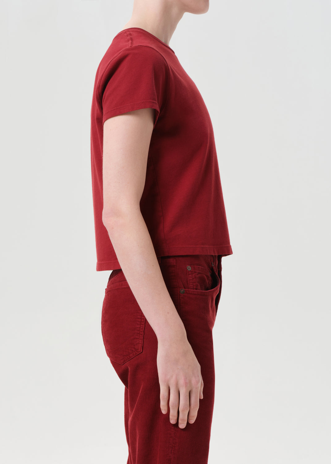 Adine Shrunken Tee in Brick