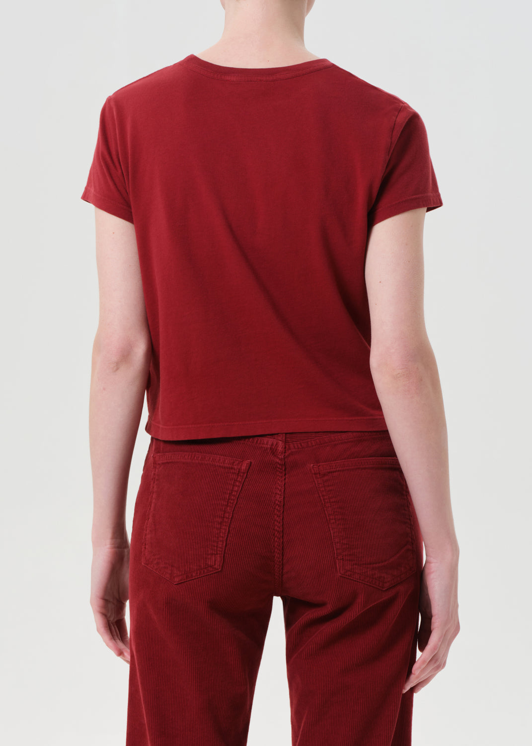 Adine Shrunken Tee in Brick