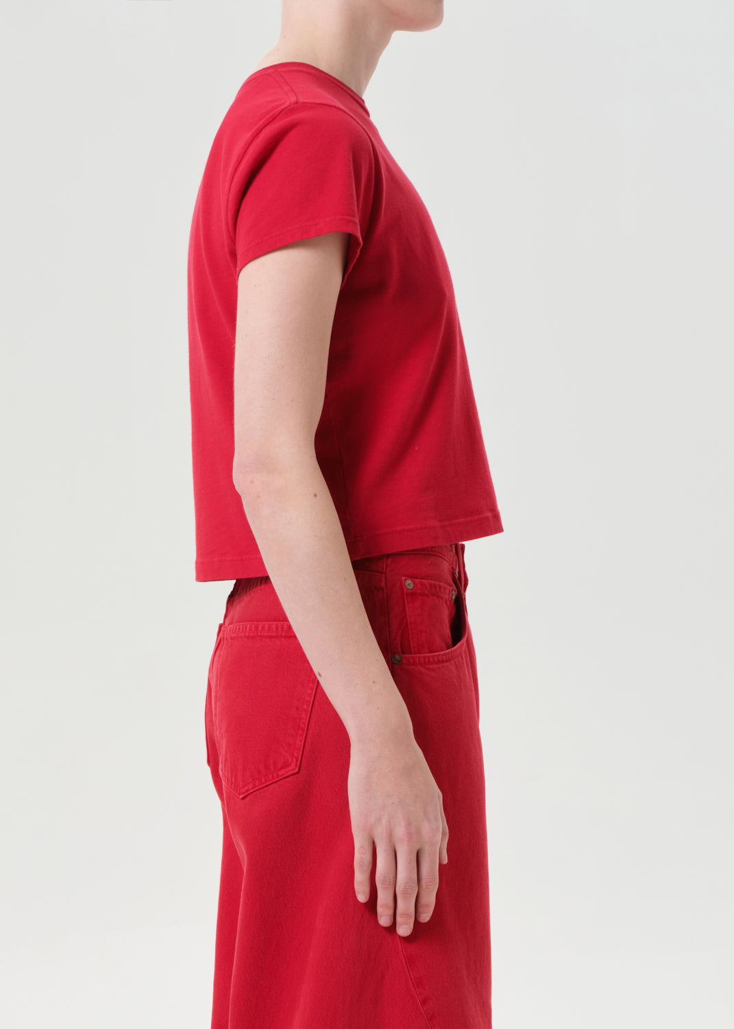 Adine Shrunken Tee in Tomato