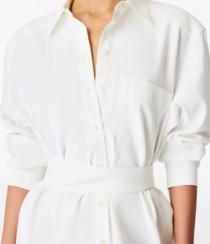 Pleat Back Shirt Dress