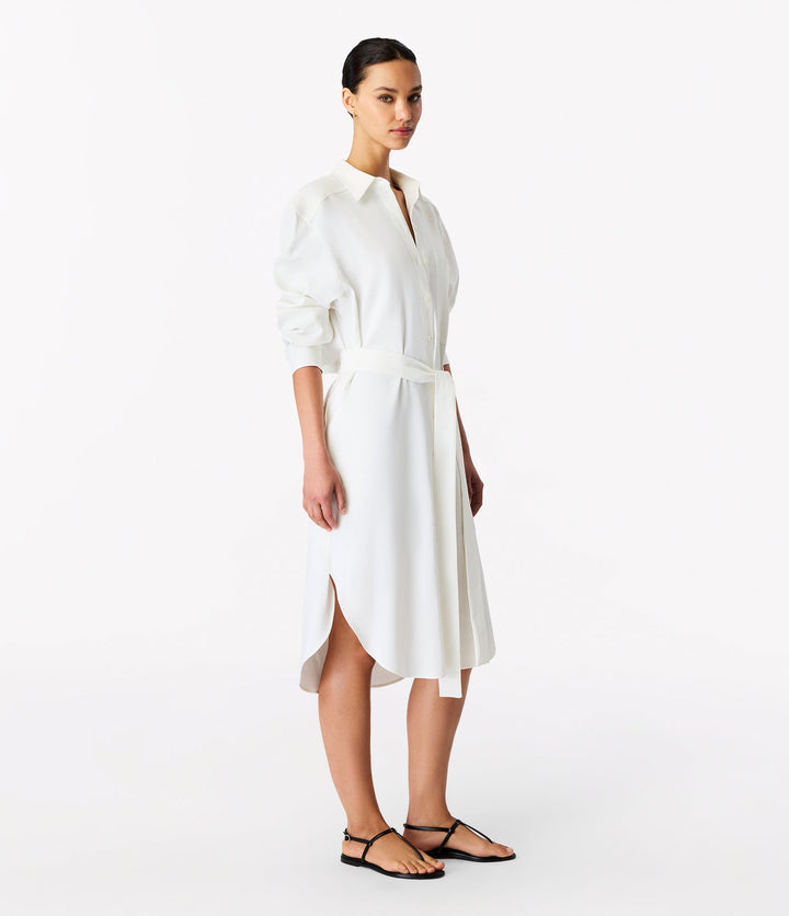 Pleat Back Shirt Dress