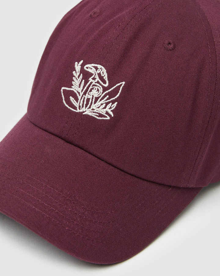 Understory Peak Hat