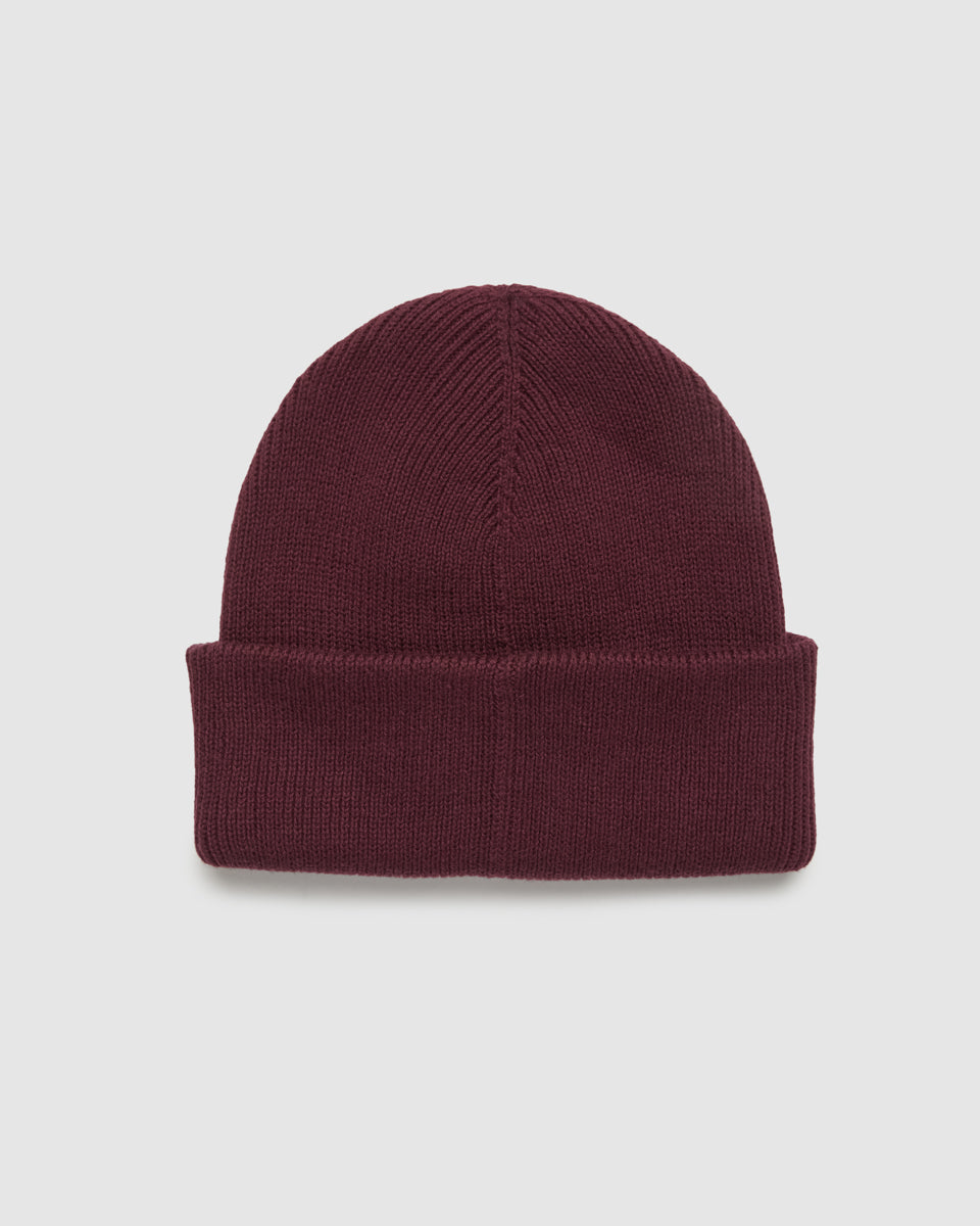 Alden Beanie