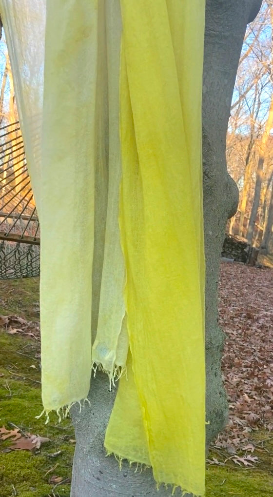Pashmina cashmere scarf