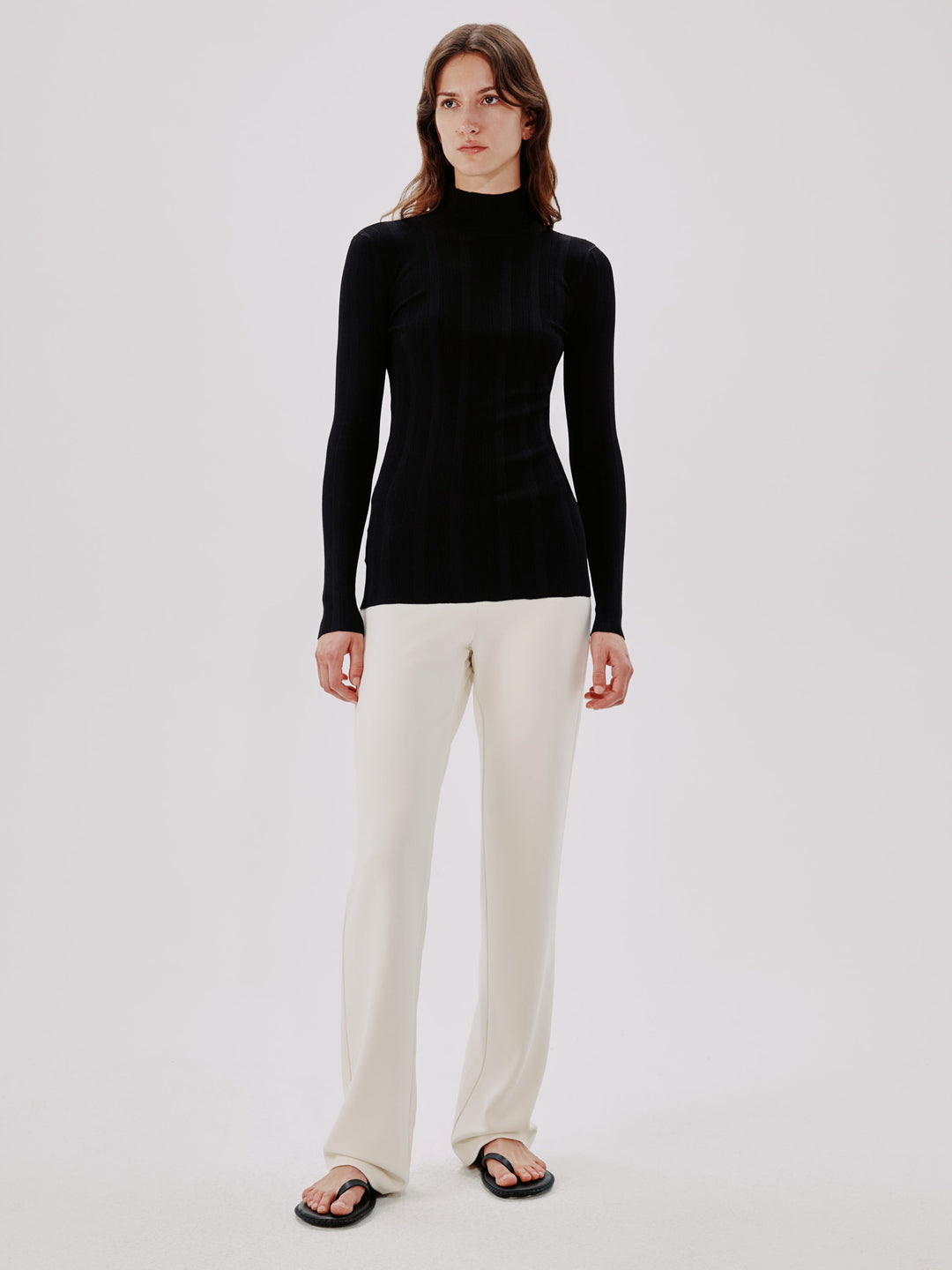 Variegated Rib Turtleneck