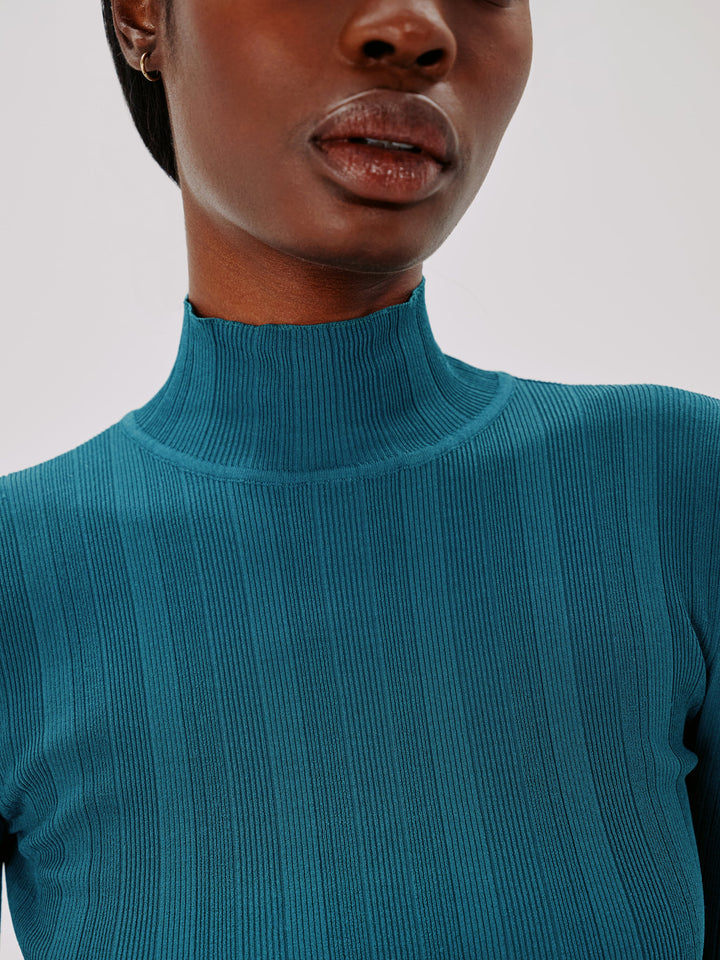 Variegated Rib Turtleneck