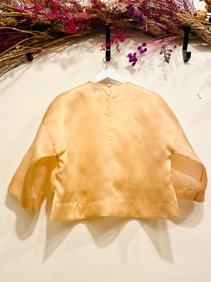 Haset Organza top