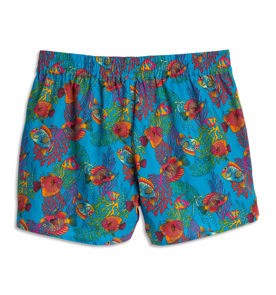 Cotton Woven Boxer - Rainbow Fish