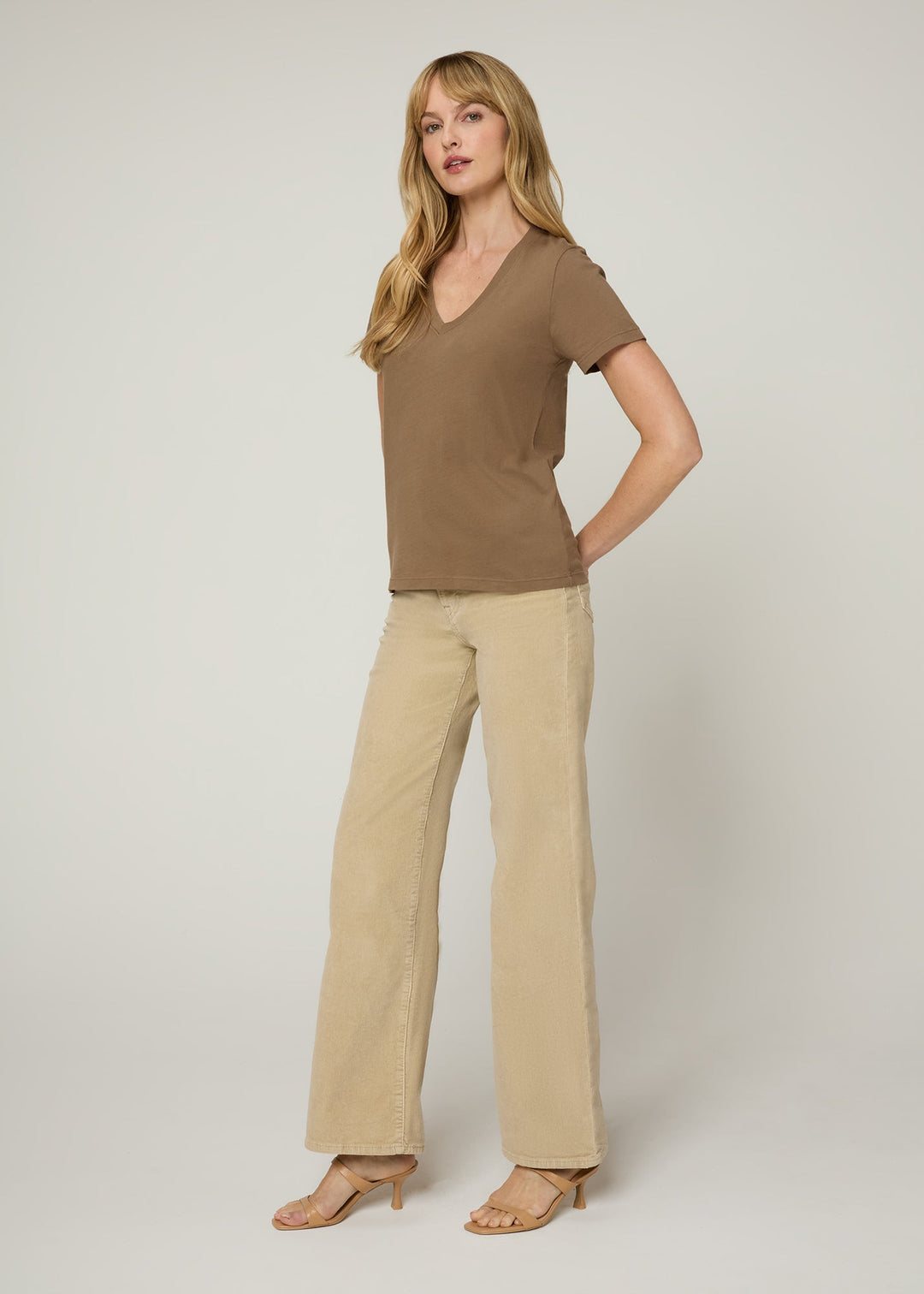 The V Neck Tee