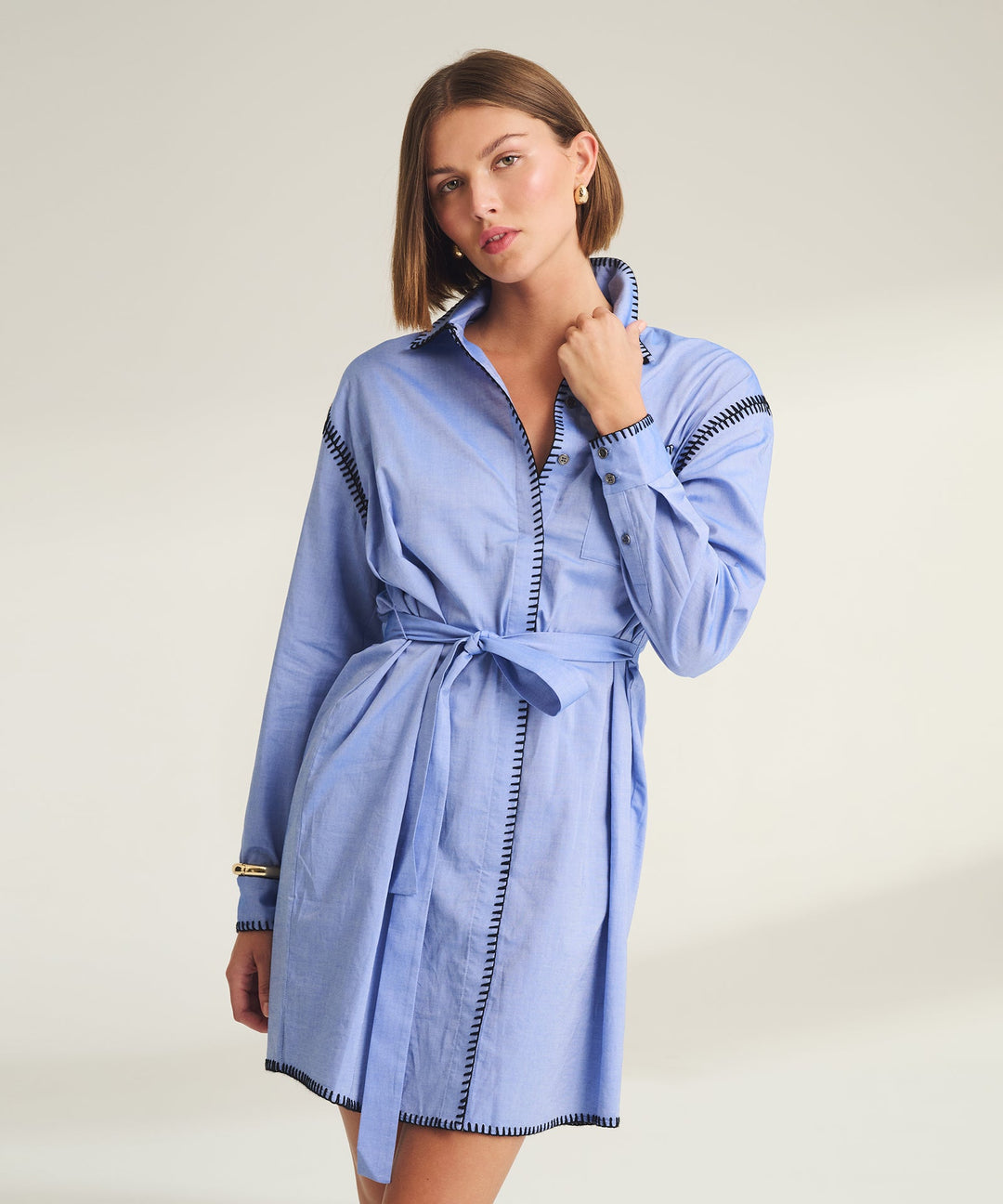 Woven Button Up Dress with Embroidery Detail
