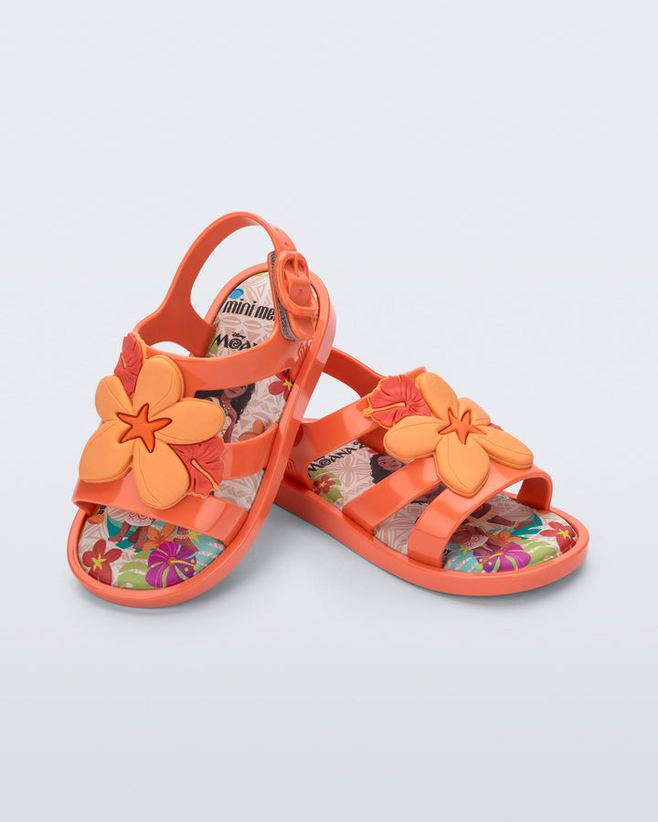 Colorland Moana