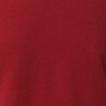 Adine Shrunken Tee in Brick