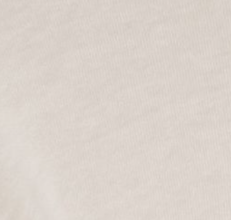 Sydney Long Sleeve Tee in Rice Grass